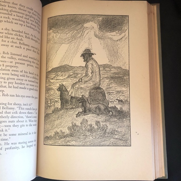 Vintage Hardcover Thunderhead by Mary O’Hara 1943 - Classic Horse Novel - Picture 9 of 11